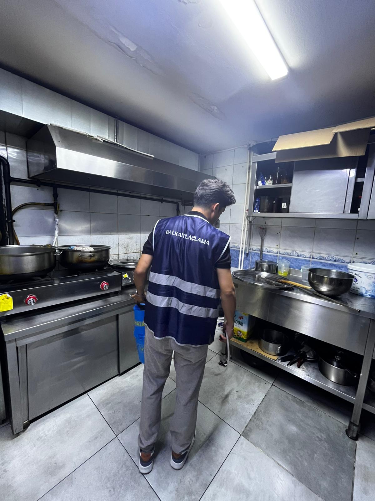 Balkan Haşere İlaçlama